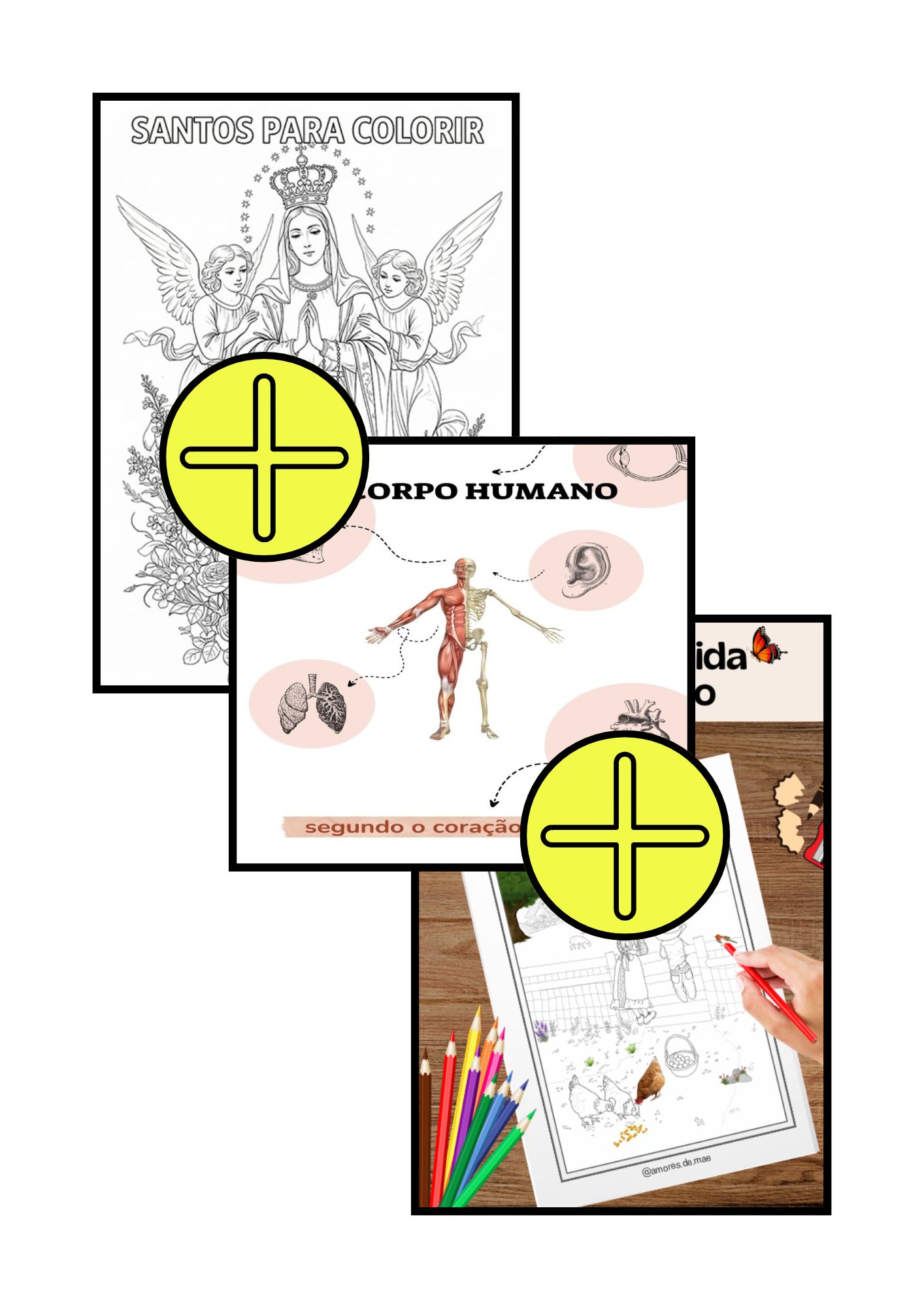 COMBO - 3 em 1 - Pollyanna Comaru Ribeiro | Hotmart