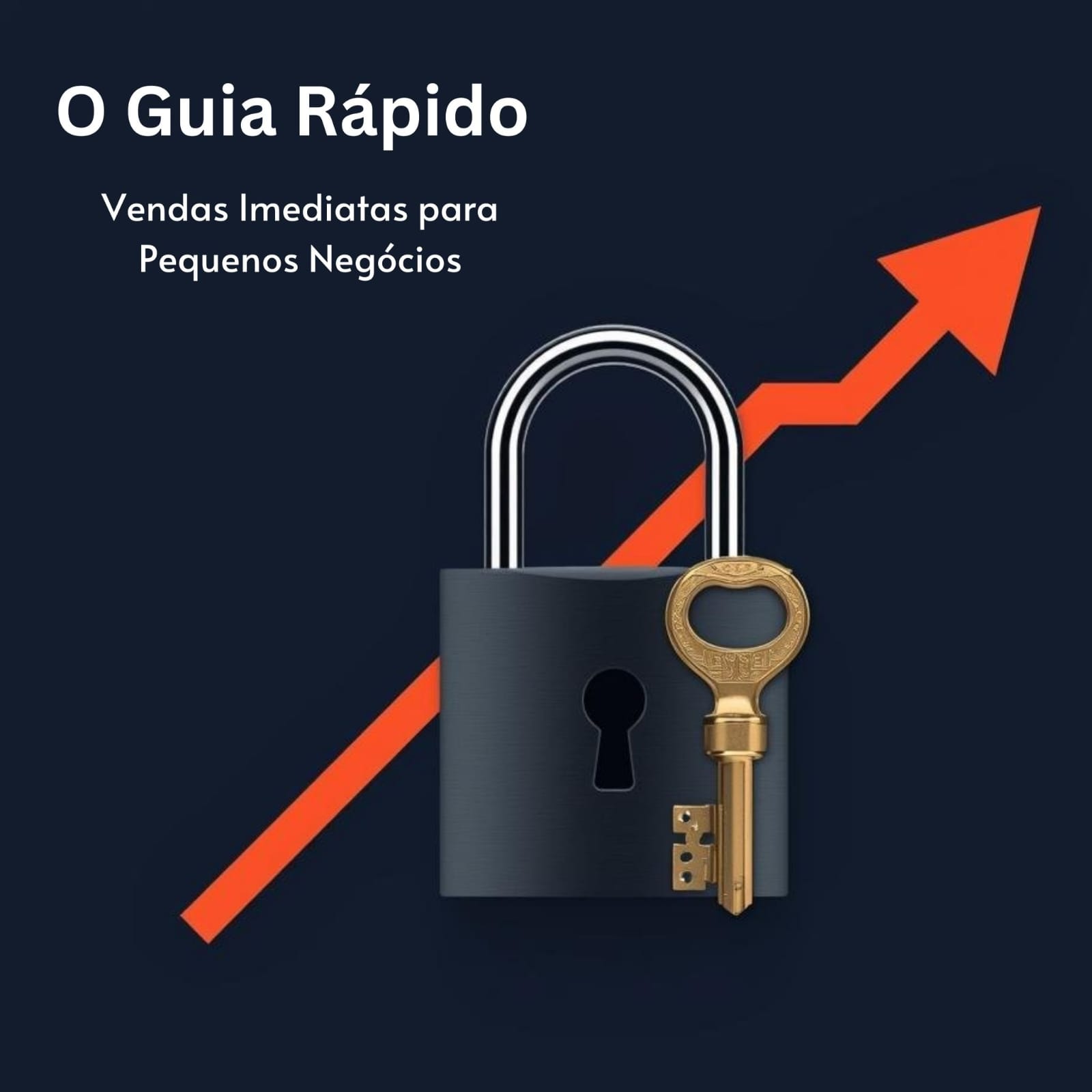 O Guia Rápido: Vendas Imediatas para Pequenos Negócios | Hotmart
