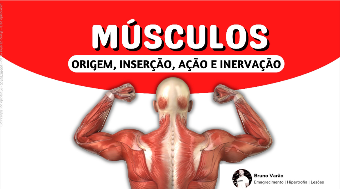 GUIA COMPLETO DOS MÚSCULOS ORIGEM, INSERÇÃO, AÇÃO E INERVAÇÃO. - BR...