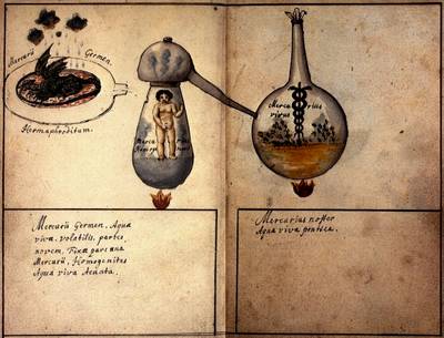 Alquimia para a Vida - Curso + E-book
