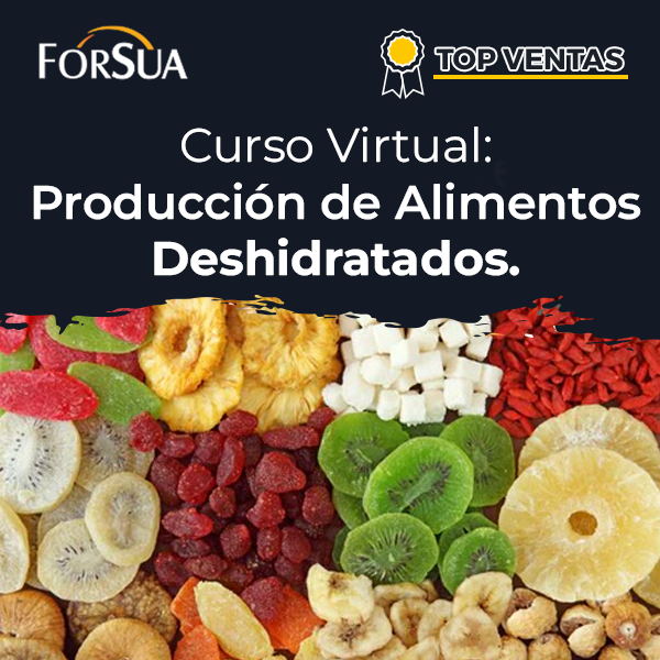 Curso Virtual: Producción de Alimentos Deshidratados