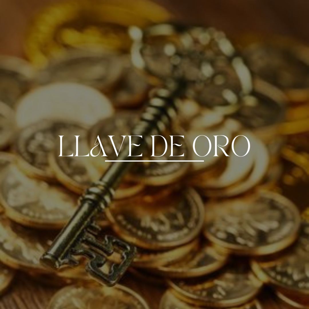 La Raíz del Dinero - Curso de Reprogramación Financiera