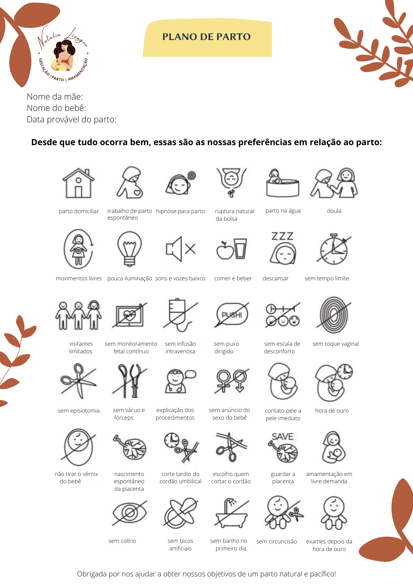 Plano de parto visual - Nat Liongon | Hotmart