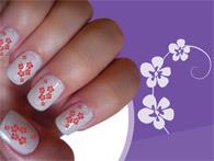 http://hotmart.net.br/show.html?a=C2778035W 