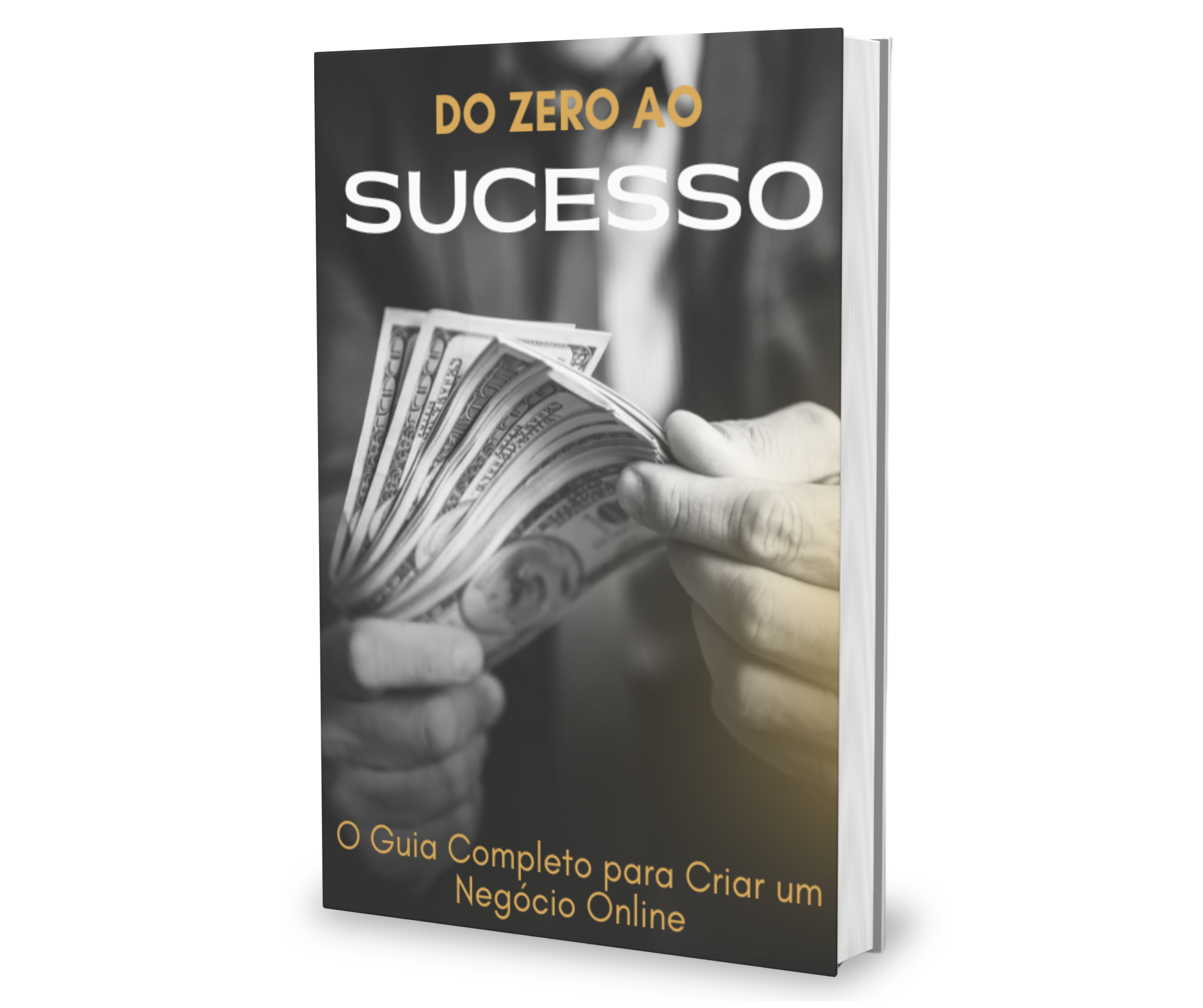 Do Zero Ao Sucesso - O guia completo para criar um negócio online
