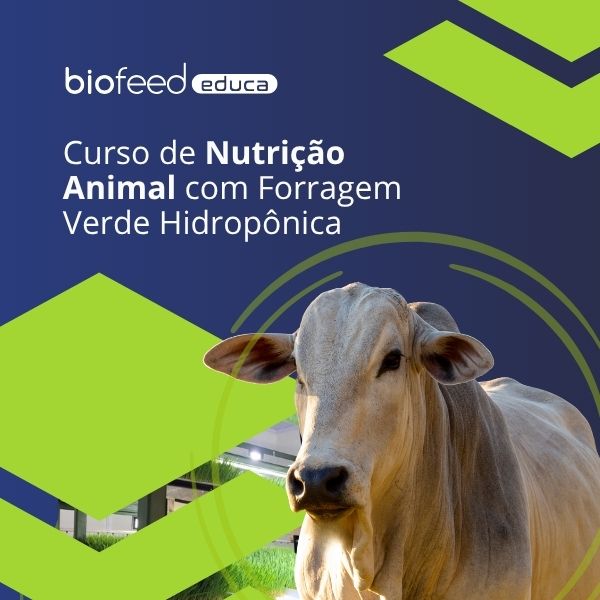 Curso de Nutrição Animal com Forragem Verde Hidropônica - Biofeed d...