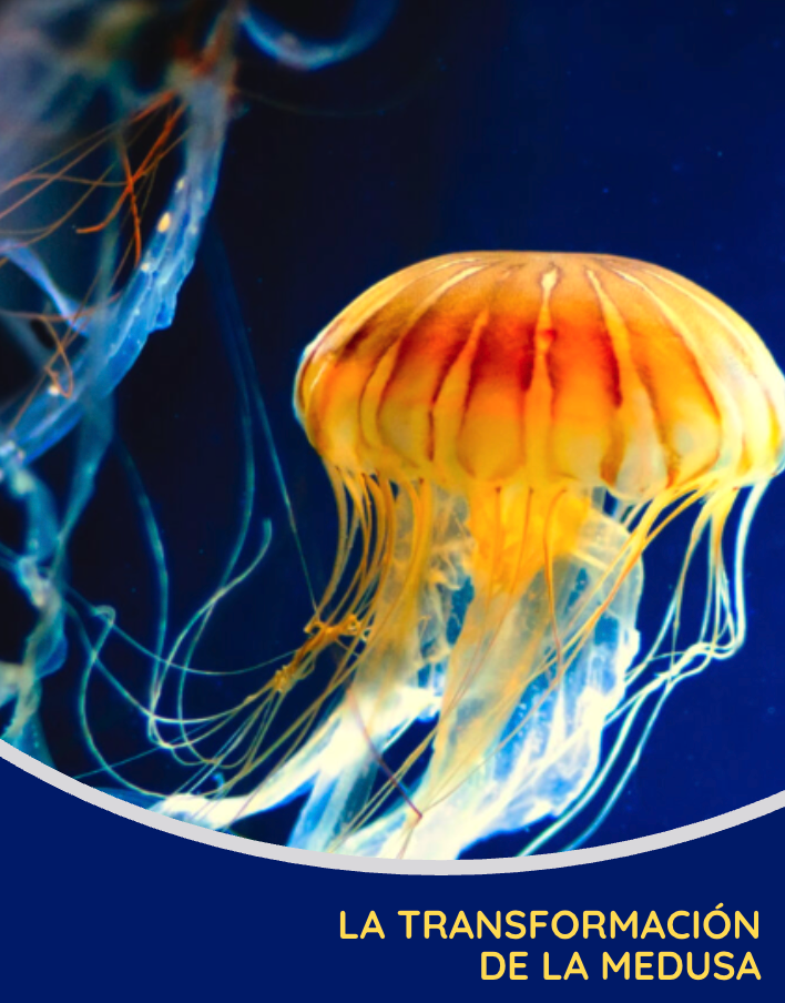 La Transformación de la Medusa