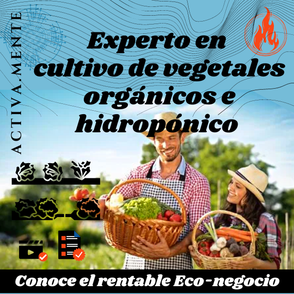 EXPERTO EN CULTIVO DE VEGETALES ORGÁNICOS Y CULTIVO HIDROPÓNICO