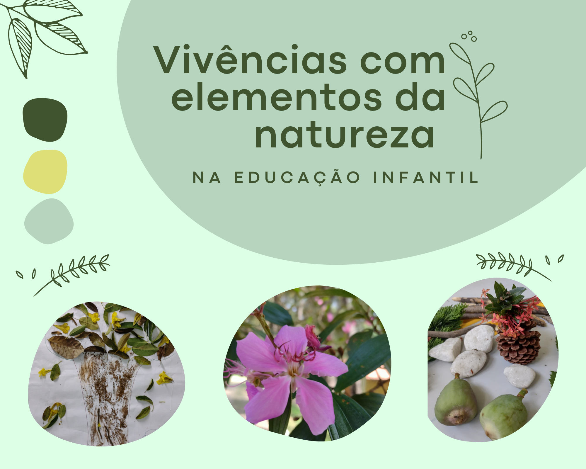 Vivências com elementos da natureza na educação infantil. - paletad...