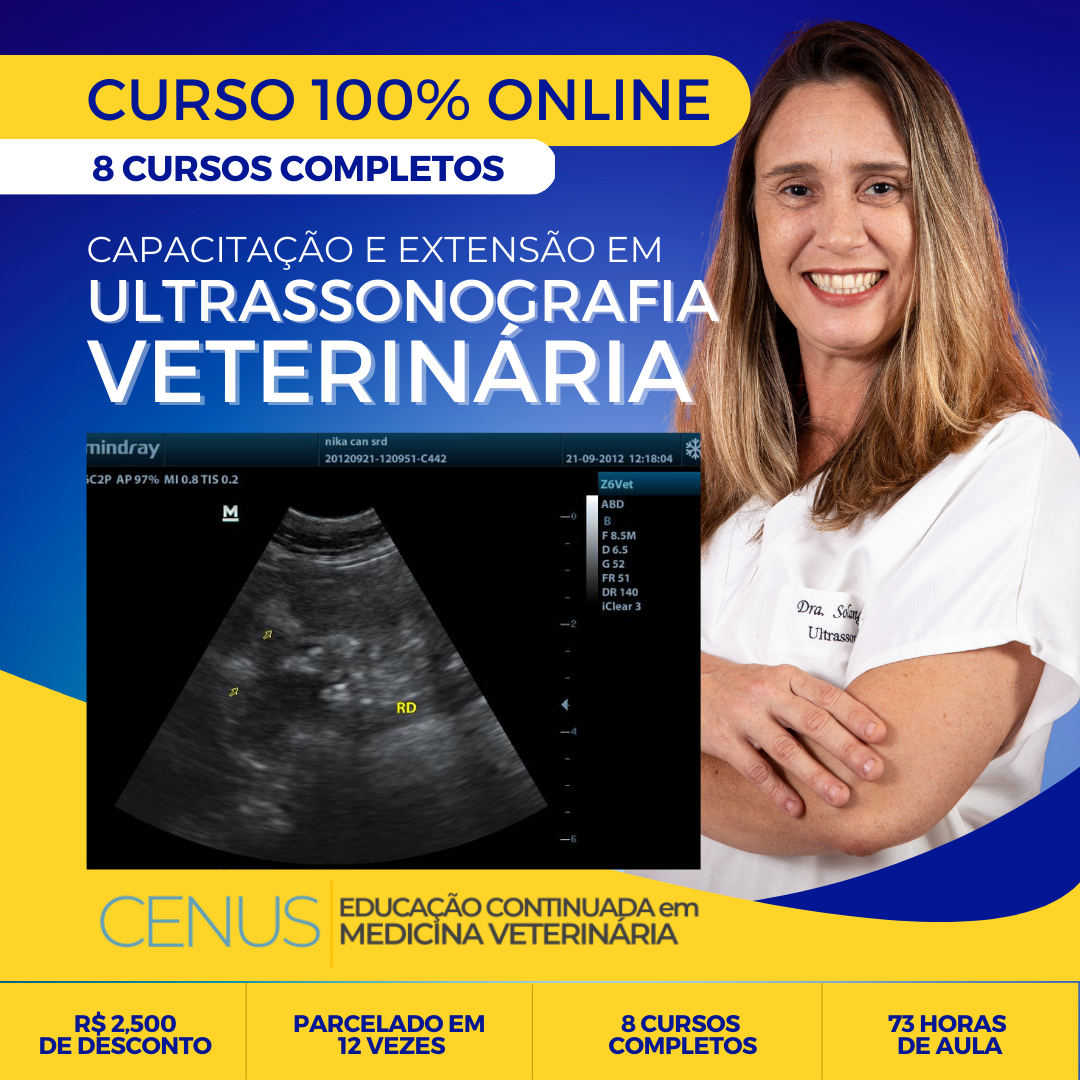 Imagem de capa para o Curso online Capacitação e Extensão  em Ultrassonografia Veterinária