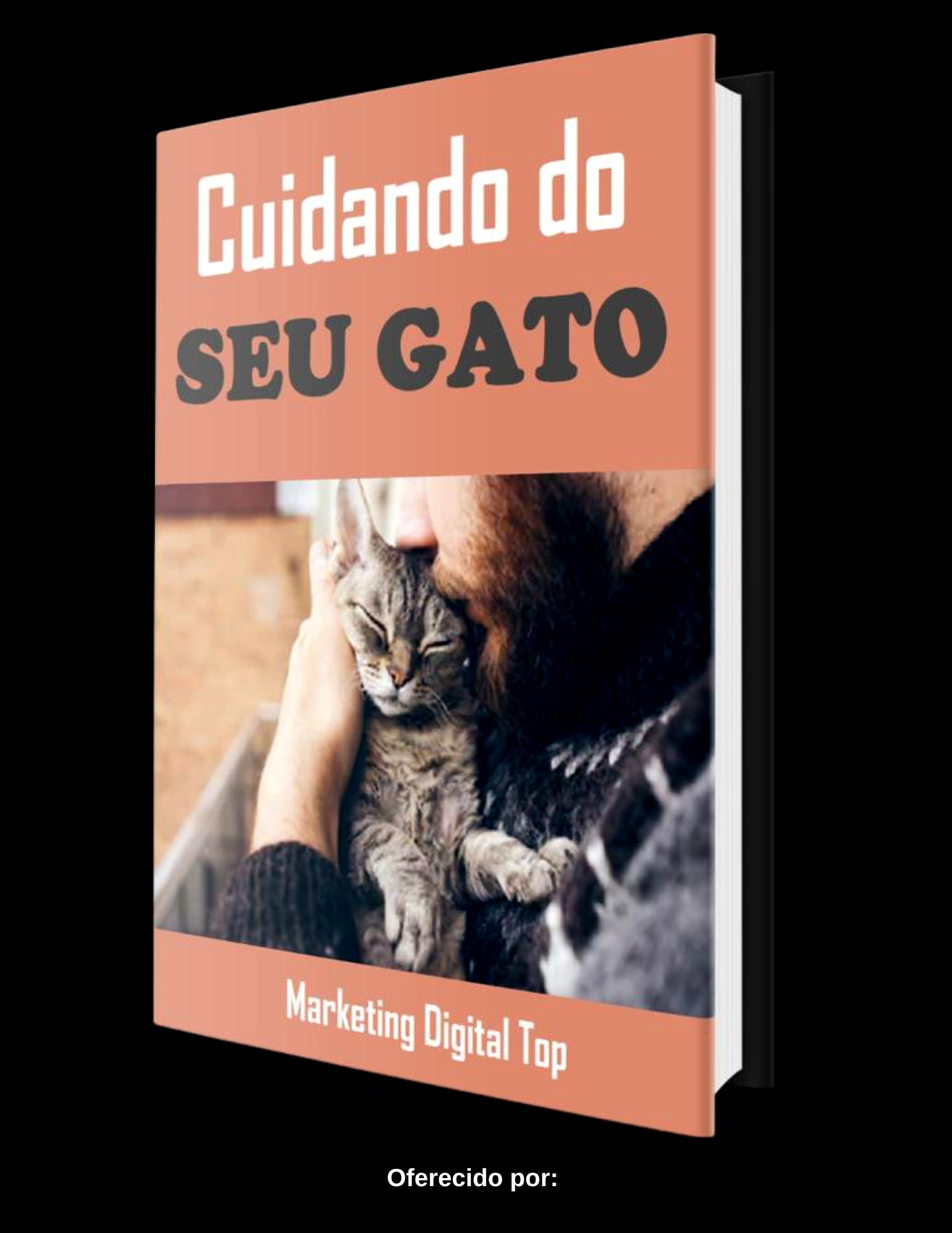 CUIDANDO DO SEU GATINHO