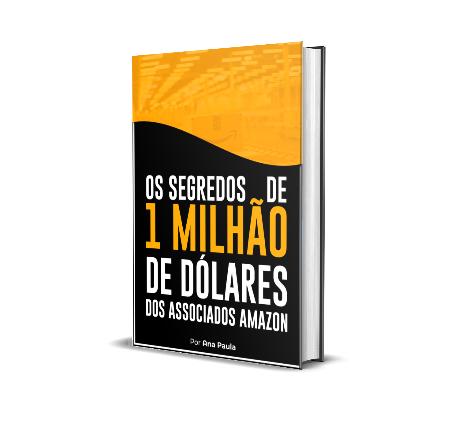 Segredos de um milhão de dólares Amazon