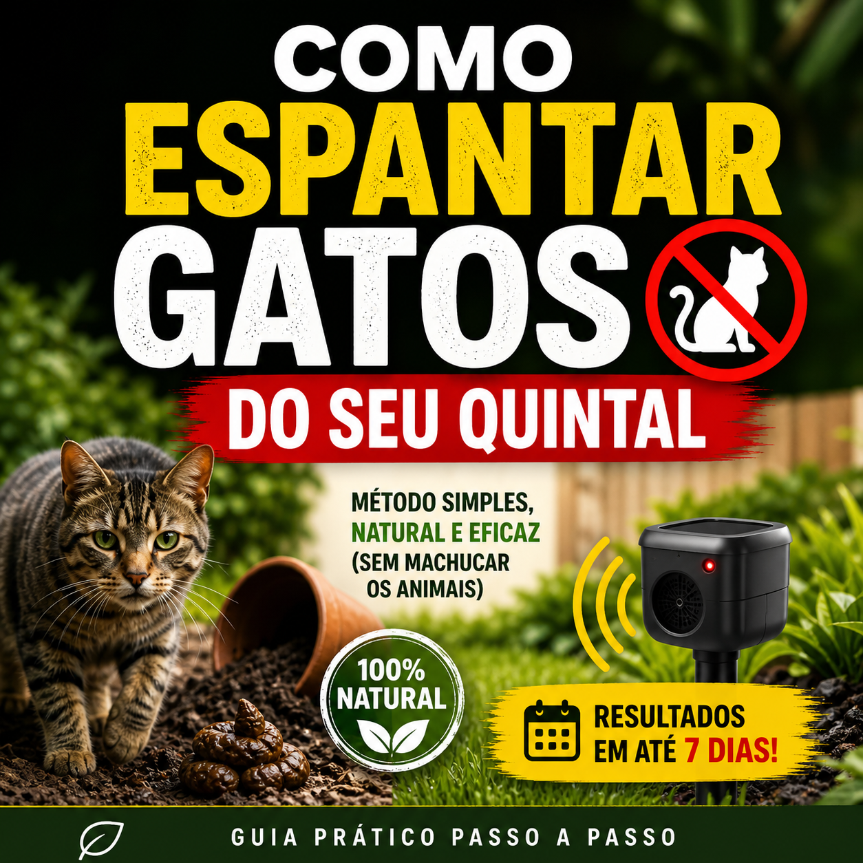 Como Espantar Gatos do Seu Quintal (Método Simples e Eficaz) - Abso...