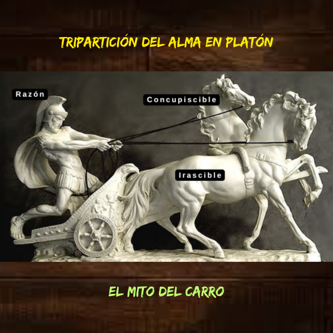 Tripartición del Alma en Platón - Emanuel Stoicky | Hotmart