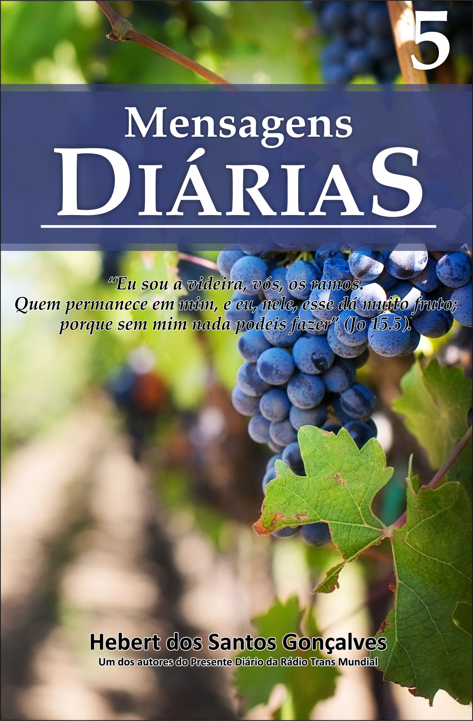 PDF - Livro mensagens diárias 05 - Hebert dos Santos Gonçalves | Ho...