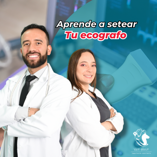 Setear APRENDE A SETEAR TU ECÓGRAFO - Caro Cardiovet | Hotmart