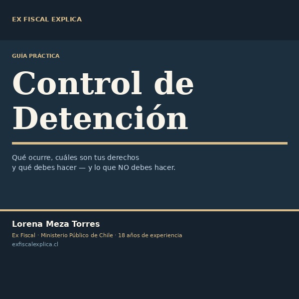 Portada de la guía práctica sobre control de detención en Chile