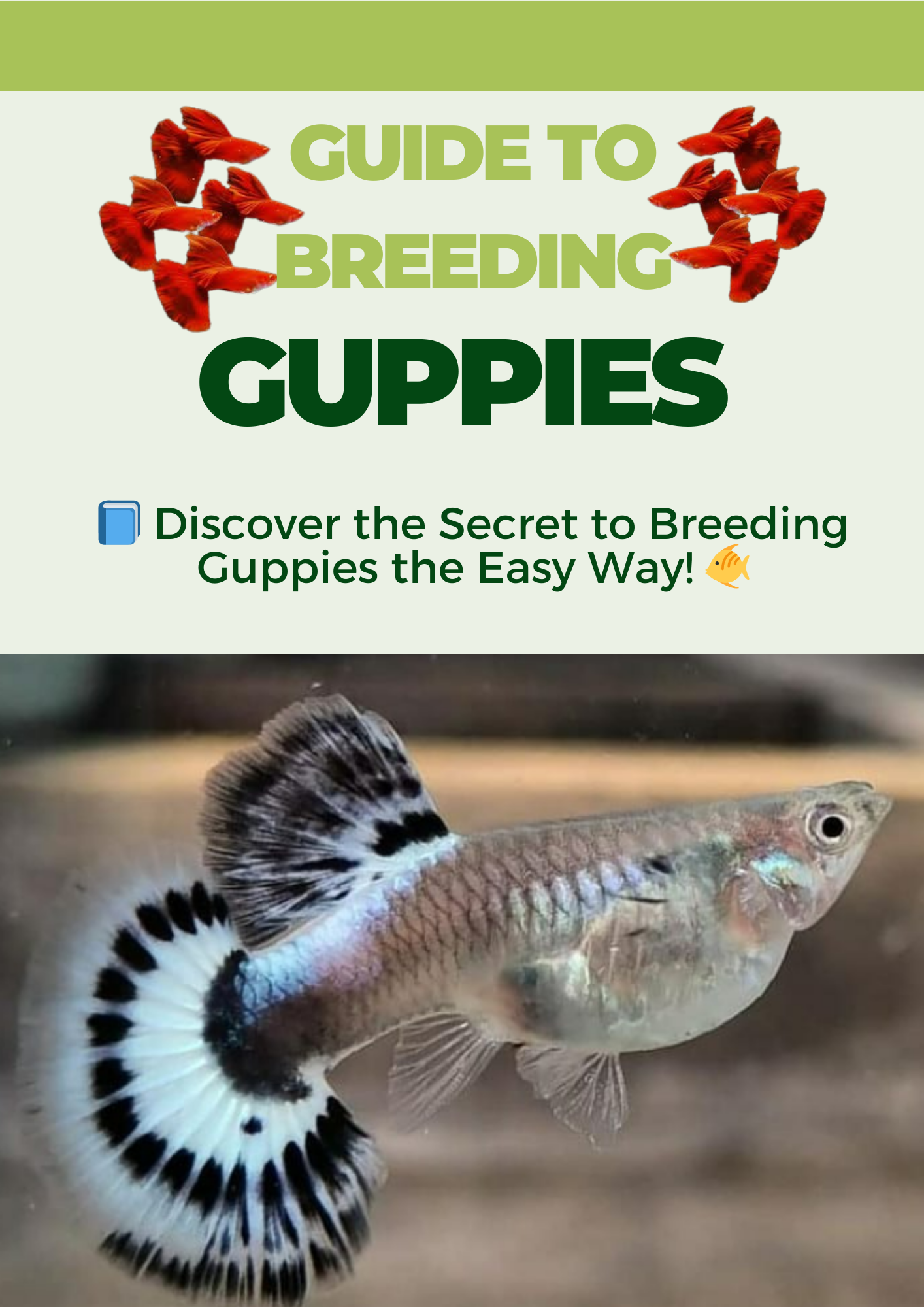 Image showcasing Guide to Breeding Guppies - Eduardo de Resende Clipe | Hotmart