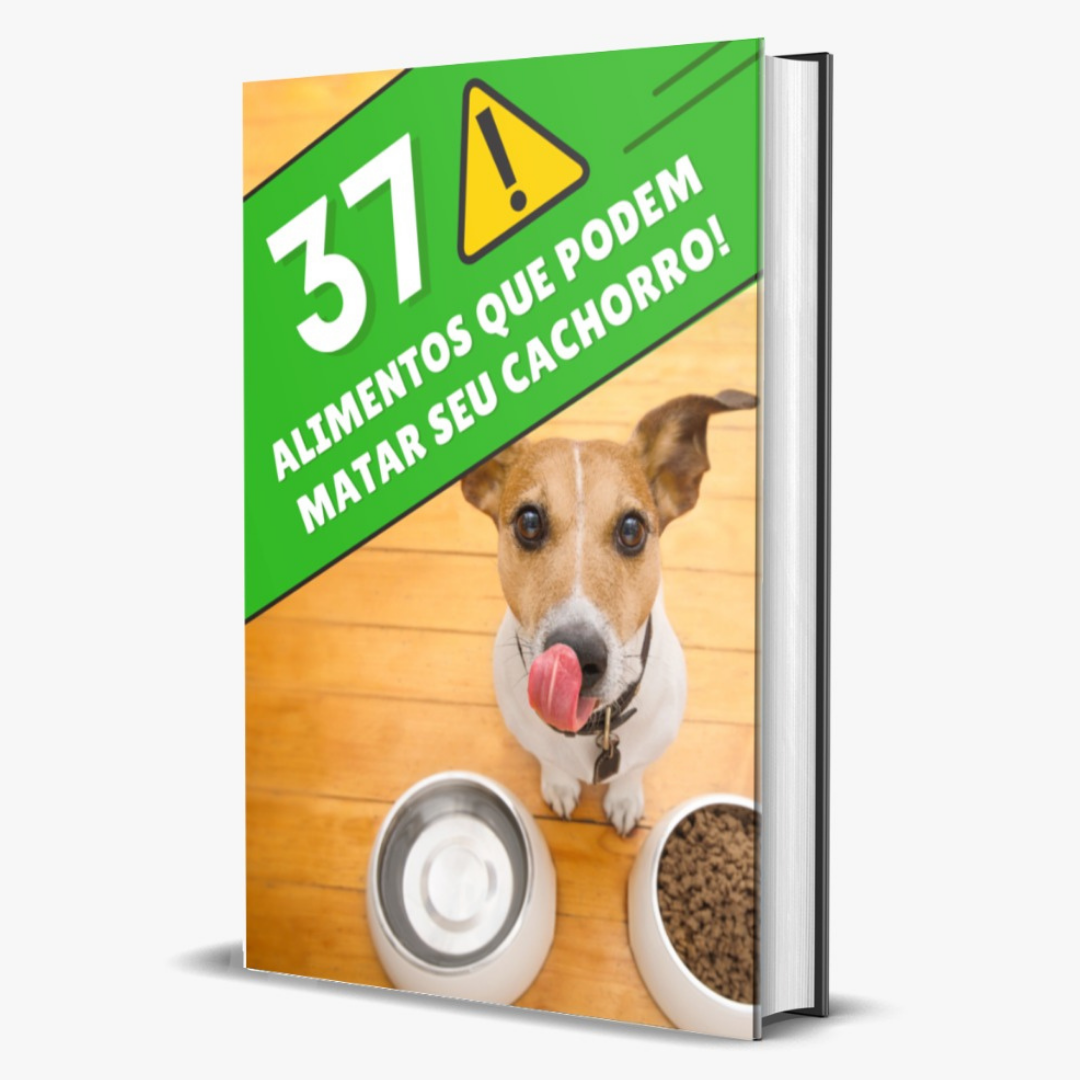 37 Alimento que podem matar o seu cachorro! - Gustavo Luiz Vieira d...