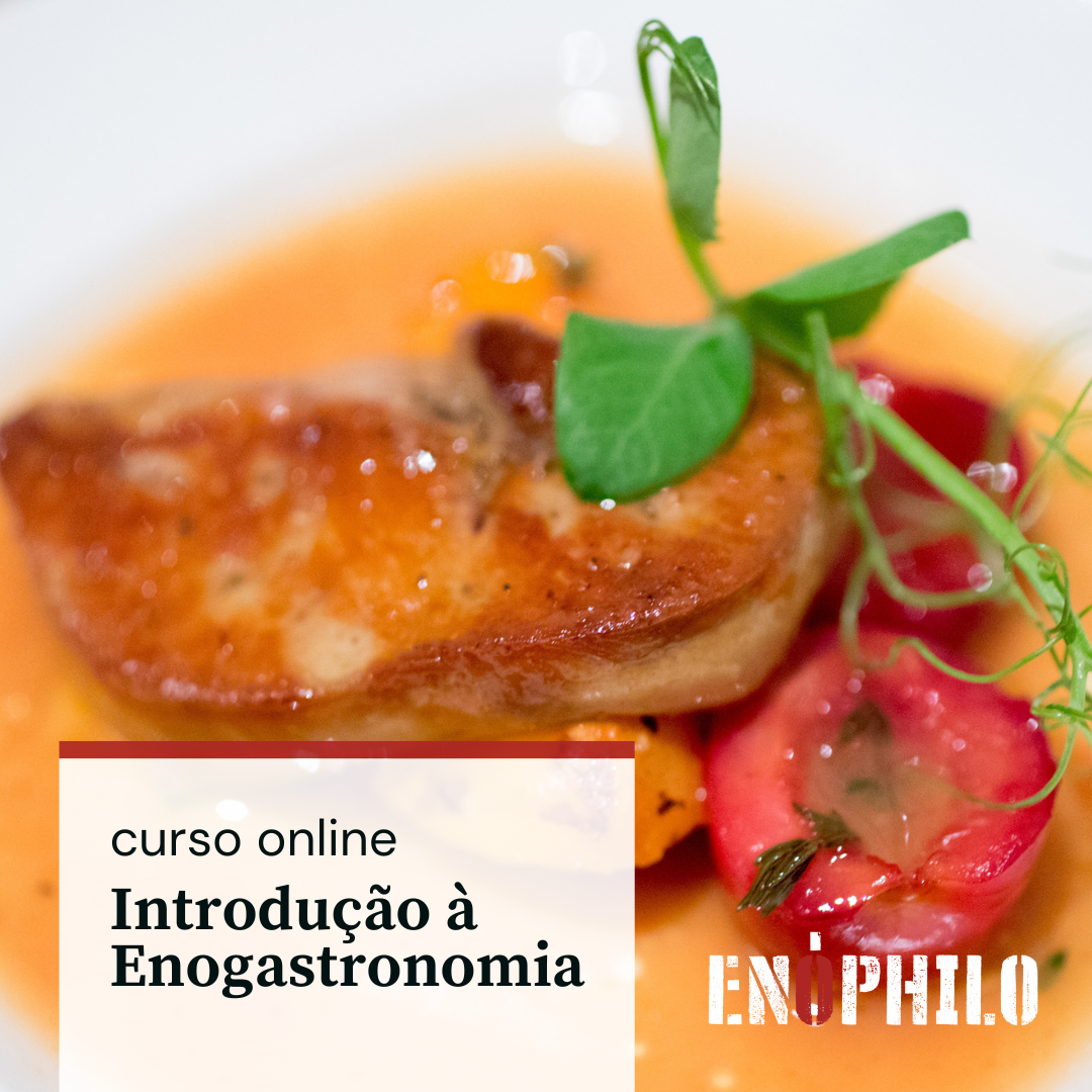 Curso online de Introdução à Enogastronomia - Enóphilo | Hotmart