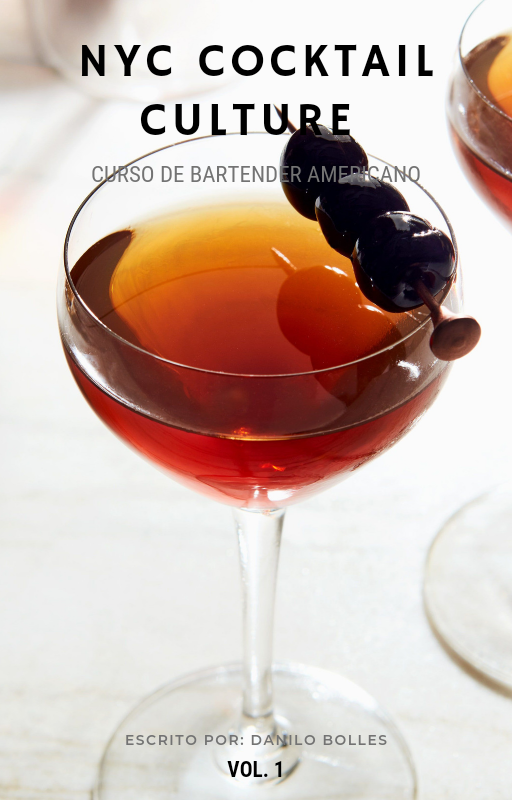 Curso de barman rapido NY