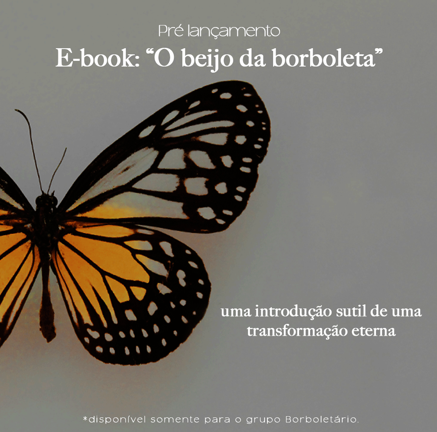 O Beijo da Borboleta - Viva o relacionamento que você quer - Thay B...