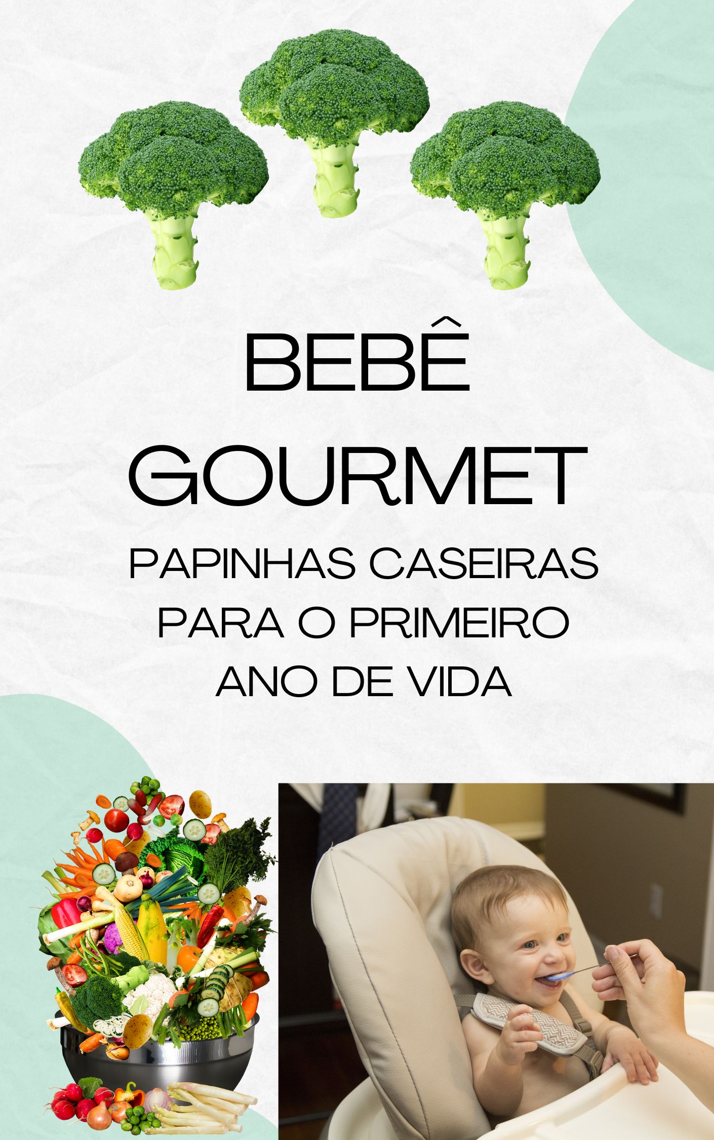 Bebê Gourmet: Papinhas Caseiras para o Primeiro Ano de Vida - Djona...