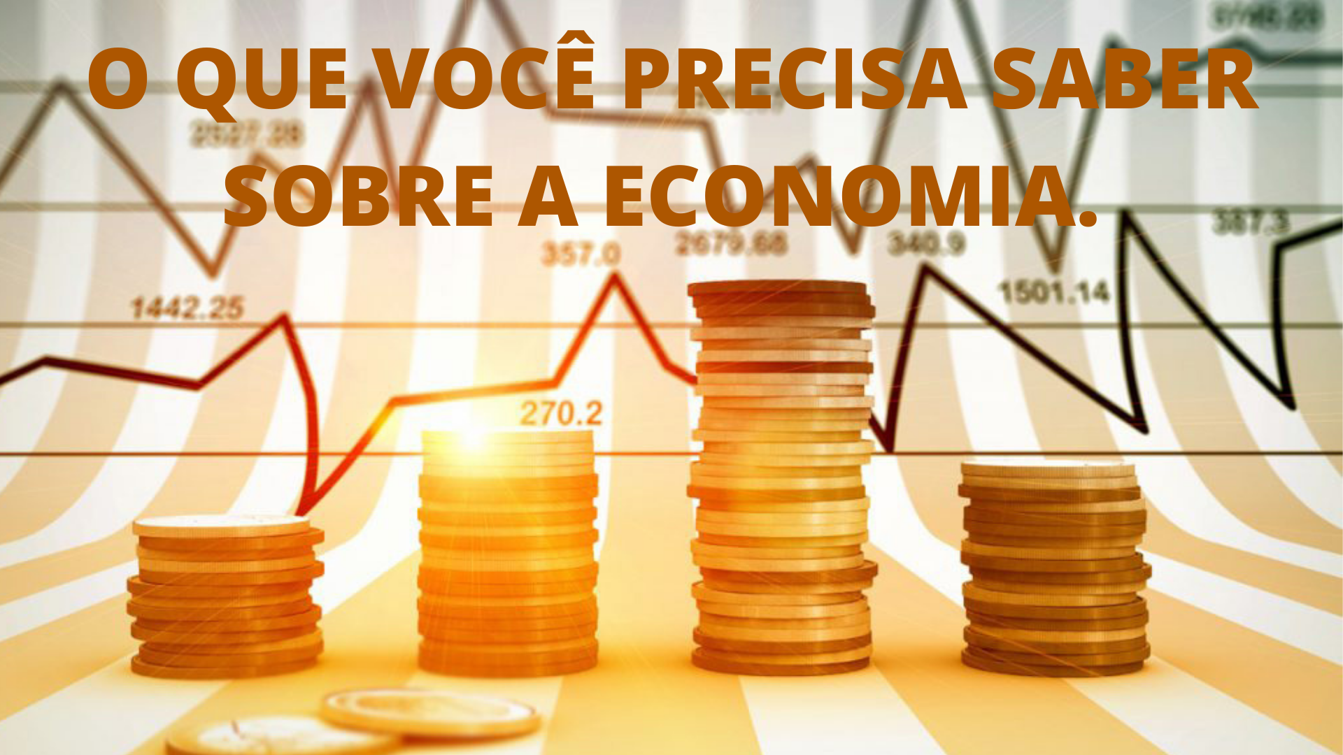 O QUE VOCÊ PRECISA SABER SOBRE ECONOMIA