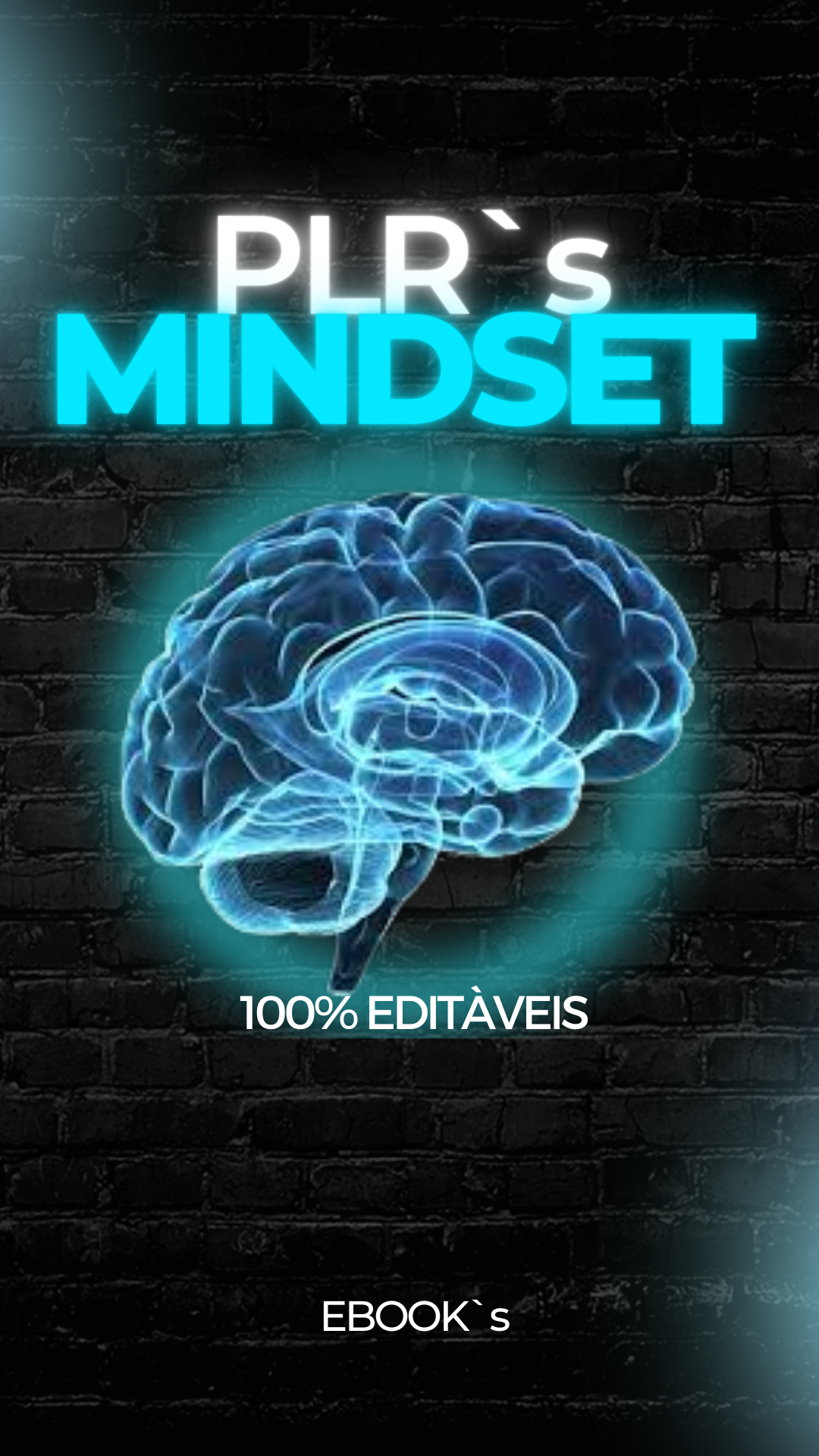 Mindset PLR Milionário