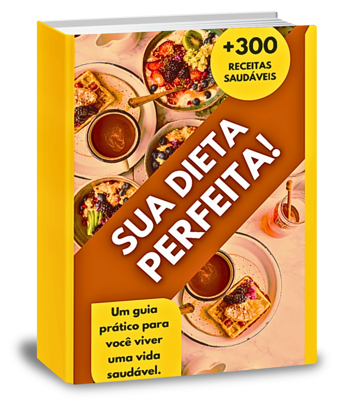 sua-dieta-perfeita