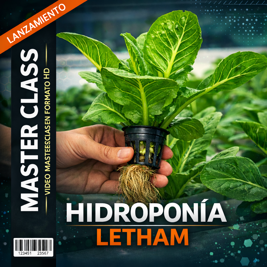 Hidroponía Letham