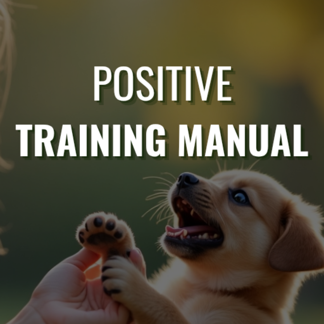Positive Training Manual