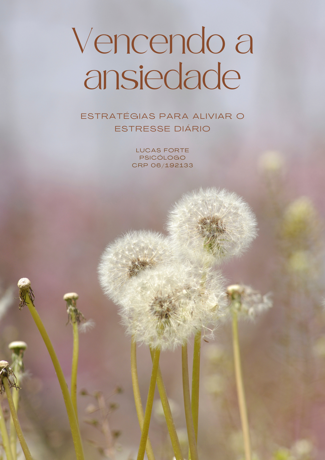 Vencendo a ansiedade: Estratégias para aliviar o estresse diário