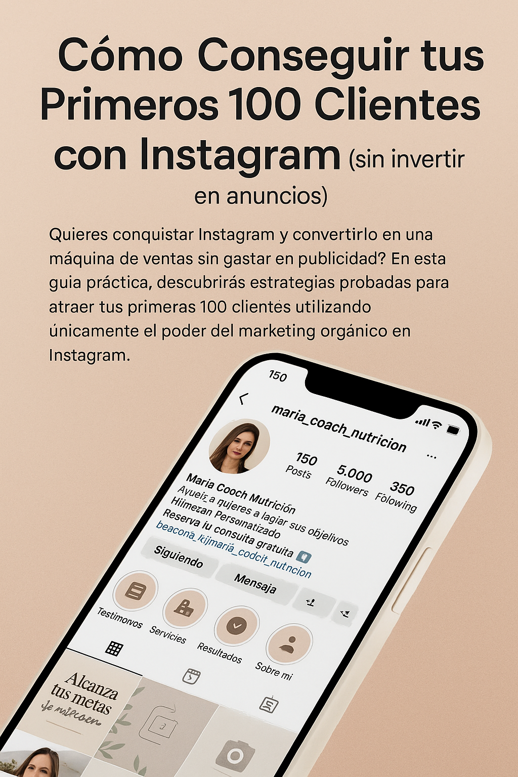 E-book Cómo Conseguir tus Primeros 100 Clientes con Instagram (sin ...