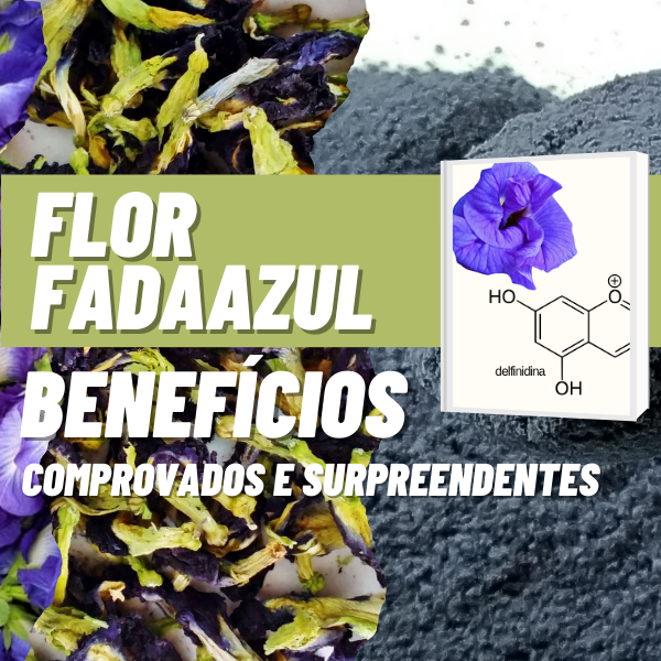 Benefícios da Flor Fada Azul + links dos estudos - @florfadaazul Ad...
