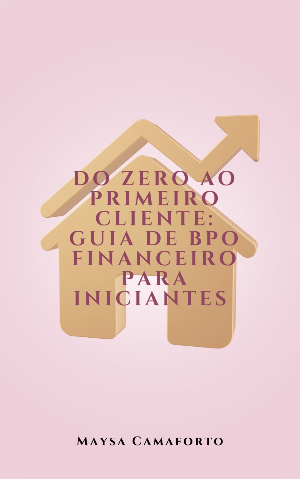 Do Zero Ao Primeiro Cliente: Guia do BPO Financeiro Para Iniciantes...