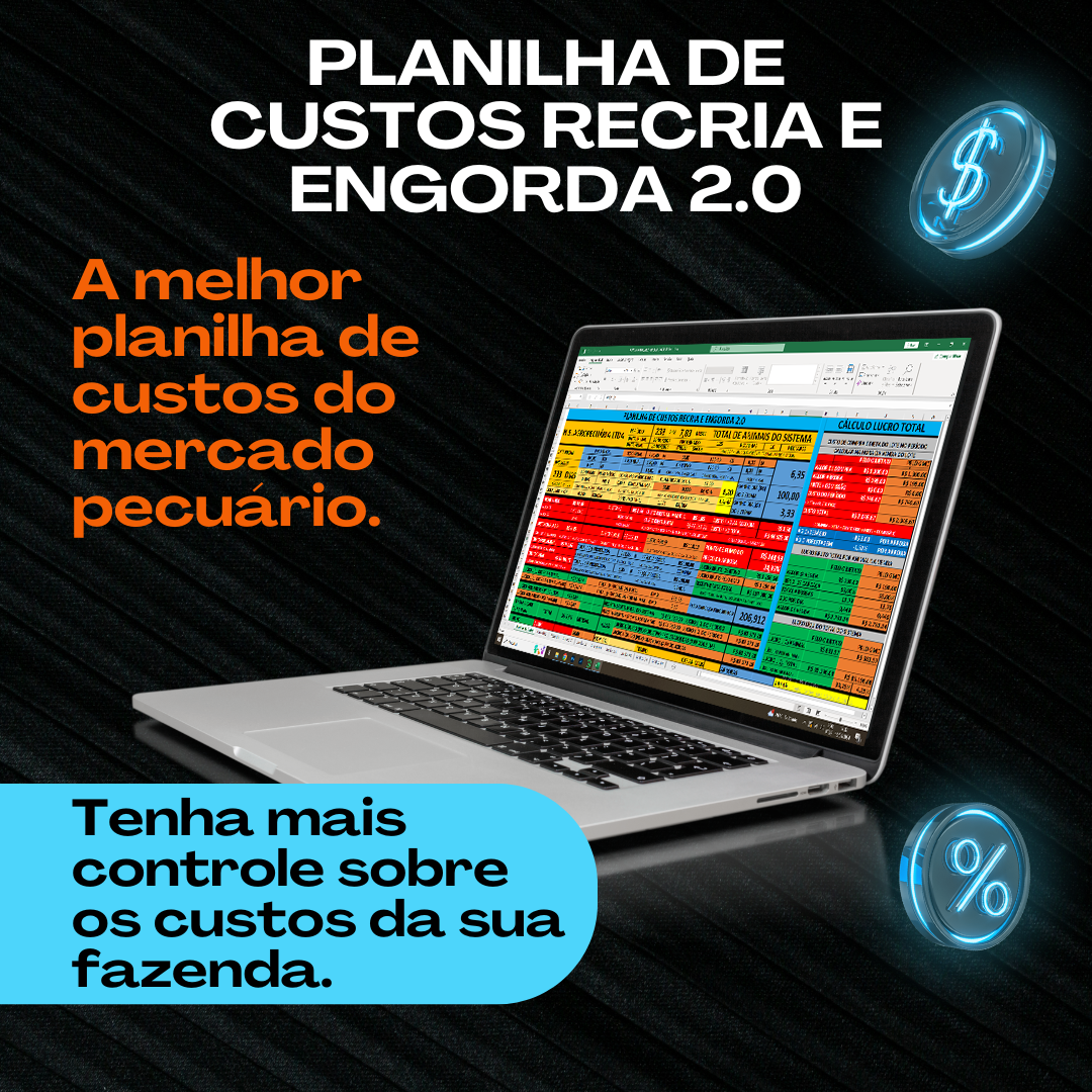 Imagem de capa para o Ebook Planilha de Custos Recria e Engorda 2.0