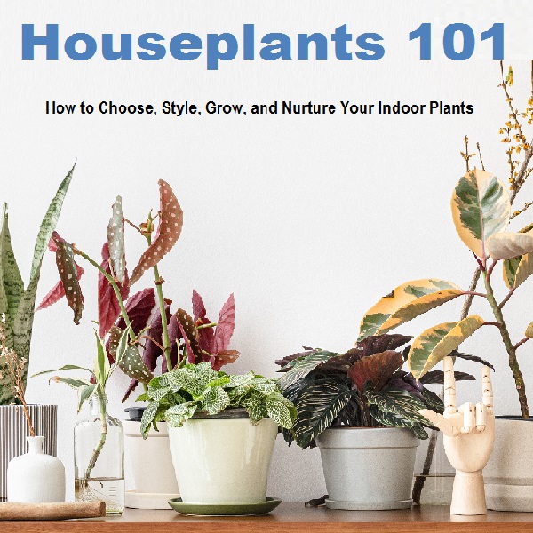 Houseplants 101 How to Choose, Style, Grow, and Nurture Your Indoor