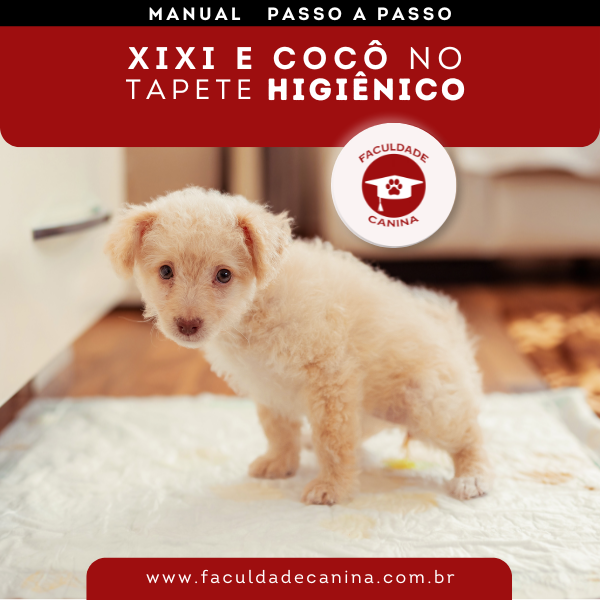 MANUAL: XIXI E COCÔ NO TAPETE HIGIÊNICO - Faculdade Canina | Hotmart