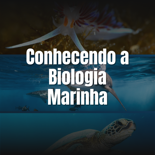 Conhecendo a Biologia Marinha - Bruno Falcai | Hotmart