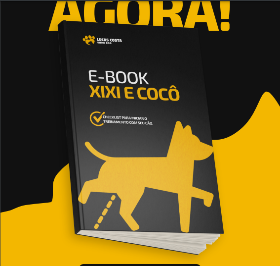 Checklist Xixi e cocô