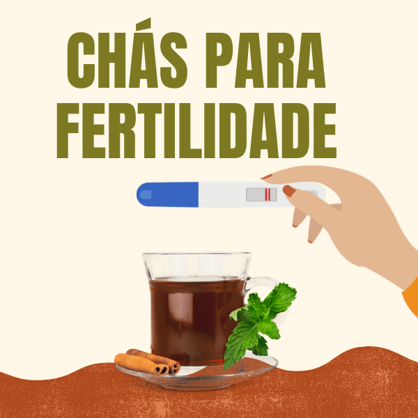 Chás para Fertilidade: Chás que Ajudam a engravidar