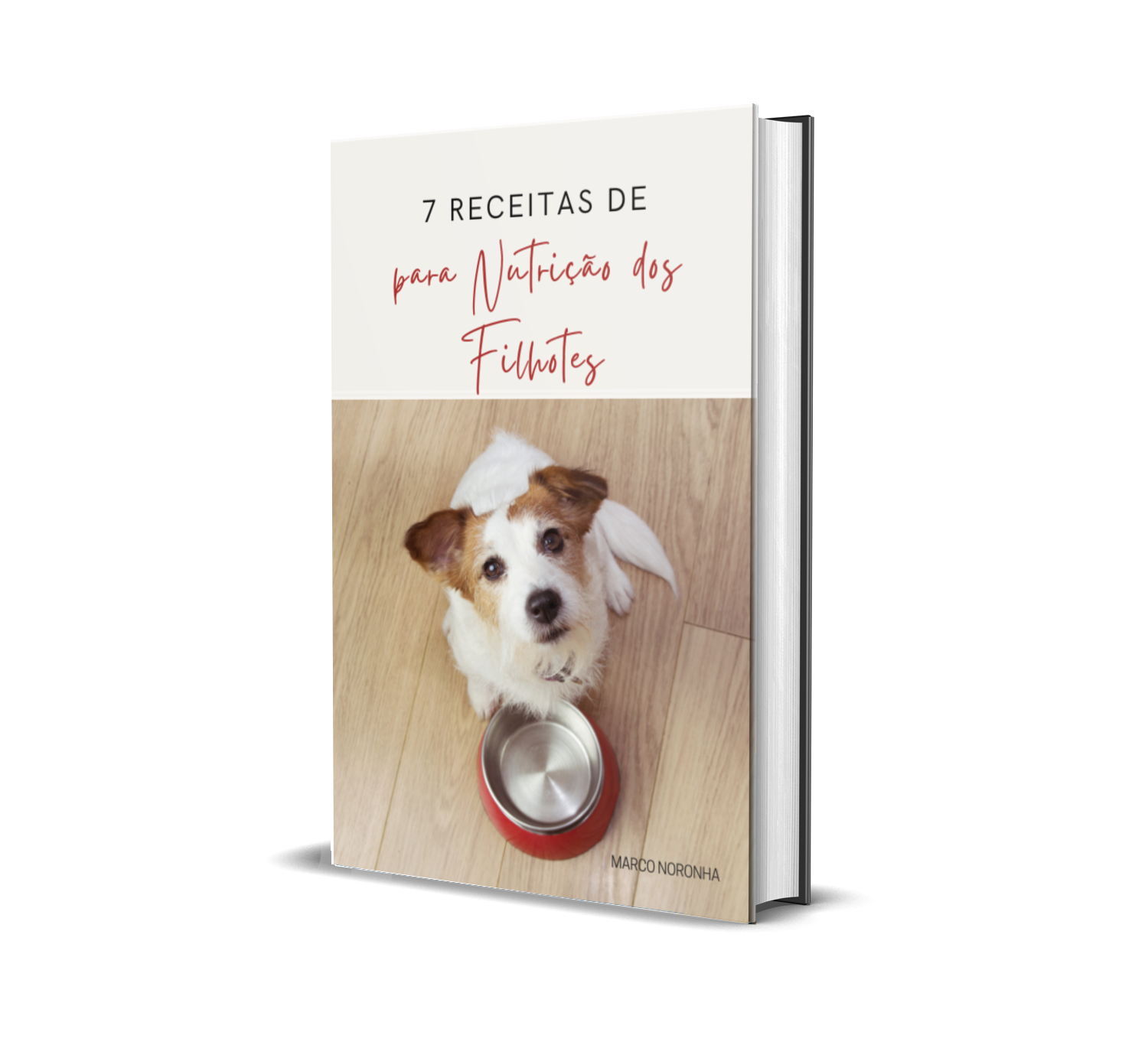 receitas-de-comidas-para-filhotes