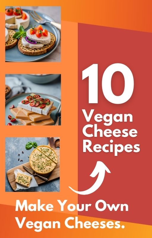 10 Vegan Cheese Recipes Thiago Zion Hotmart