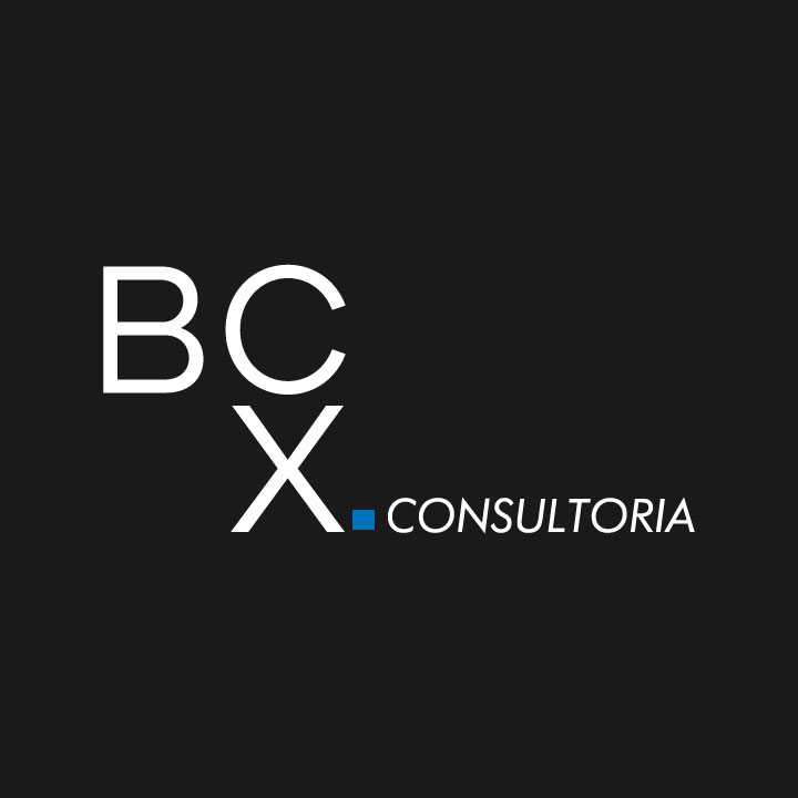 BCX Consultoria