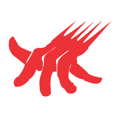 Foto do Criador Noel Snooker