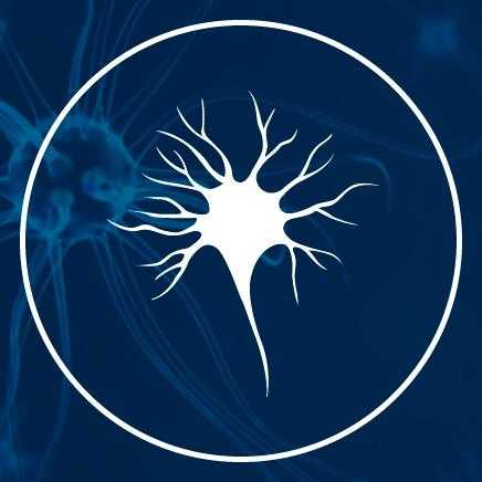 Instituto Brasileiro de Neuromarketing e Neuroeconomia