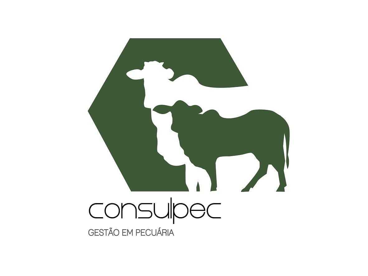Consulpec Consultoria Inteligente 