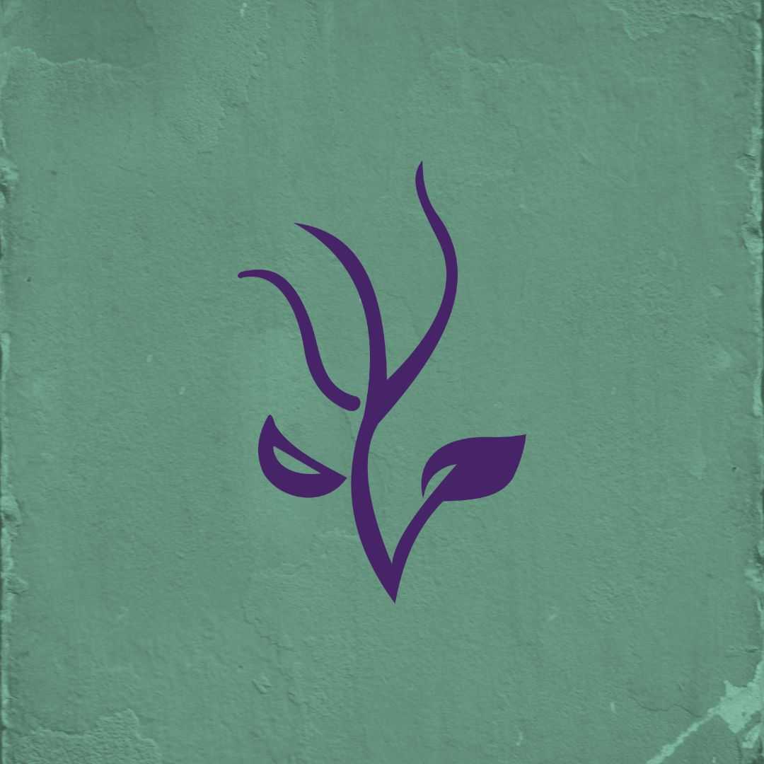 Foto do autor Rizoma Psicologia e Saúde Integral