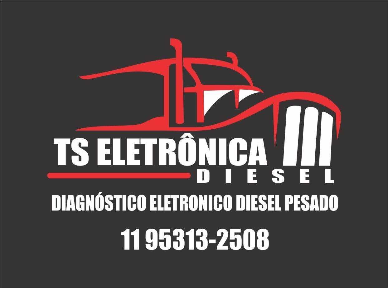 Foto do Criador TS ELETRONICA TREINAMENTOS ONLINE 